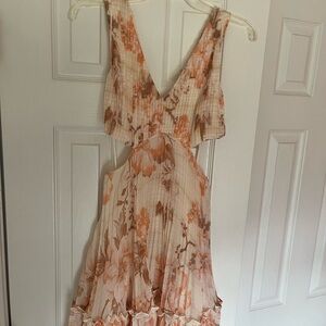 Express Backless Dress